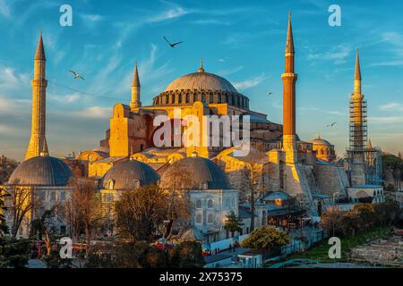 Tramonto sulla moschea di Santa Sofia con gabbiani a Istanbul, Turchia. Foto Stock