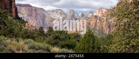 Il Tempio Ovest e le Torri della Vergine dalla Mount Carmel Highway nel Parco Nazionale di Zion, Utah, USA il 25 aprile 2024 Foto Stock