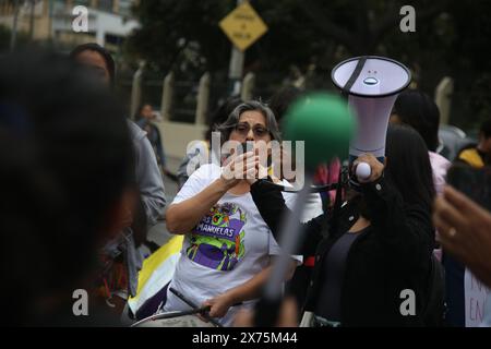 Lima, Perù. 17 maggio 2024. Le persone prendono parte a una protesta LGBTQ contro un decreto a seguito di una decisione del Ministero della salute di classificare le persone transgender come malati mentali. Credito: Gian Masko/dpa - ATTENZIONE: Solo per uso editoriale e solo con pieno riferimento al credito sopra menzionato/dpa/Alamy Live News Foto Stock