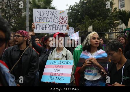 Lima, Perù. 17 maggio 2024. Le persone prendono parte a una protesta LGBTQ contro un decreto a seguito di una decisione del Ministero della salute di classificare le persone transgender come malati mentali. Credito: Gian Masko/dpa - ATTENZIONE: Solo per uso editoriale e solo con pieno riferimento al credito sopra menzionato/dpa/Alamy Live News Foto Stock