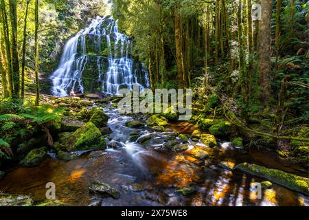 Nelson Falls, Franklin-Gordon Wild Rivers National Park, Lyell Hwy, Tasmania Foto Stock