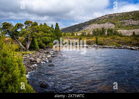 Vegetazione alpina e Pencil Pines sulla riva del lago Pine, Plateau centrale, Tasmania Foto Stock