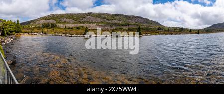 Vegetazione alpina e Pencil Pines sulla riva del lago Pine, Plateau centrale, Tasmania Foto Stock