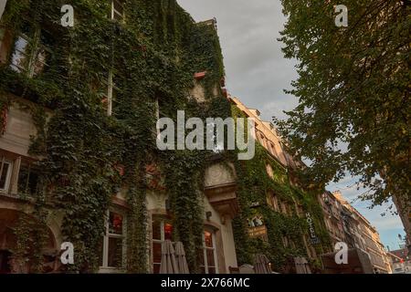 Strasburgo, Alsazia, Francia, Europa, 13 ottobre 2023;splendido e pittoresco scenario della Rue du Maroquin con il suo affascinante edificio medievale in legno Foto Stock