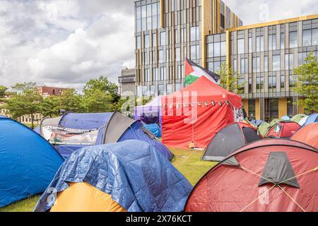 Manifestanti pro palestinesi in circa 40 tende allestite presso l'Università di Birmingham. Gli studenti protestano contro la guerra di Israele di Hamas. Foto Stock