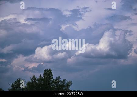 Enormi nuvole di cumulus in un cielo coperto e una silhouette alberata Foto Stock