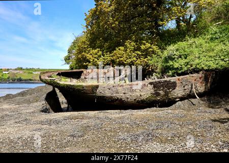 Il relitto del Duca di ferro a Frenchman’s Creek a Helford. Foto Stock