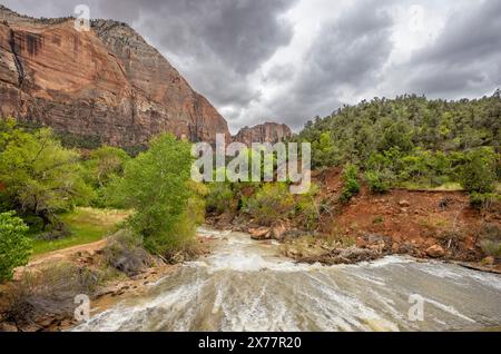 Il Virgin River con acqua bianca imperversa vicino al sentiero della panchina di sabbia nel Parco Nazionale di Zion, Utah, USA, il 26 aprile 2024 Foto Stock