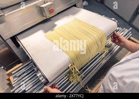 Produzione di pasta fresca in una fabbrica. Macchina per pasta industriale Foto Stock