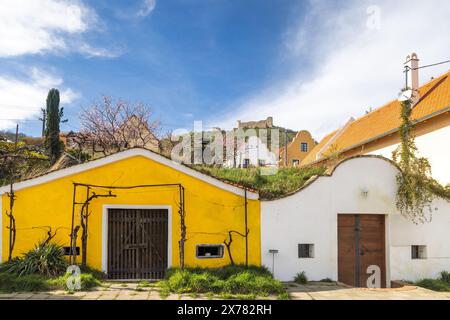 Cantine nel villaggio di Pavlov sotto il monte Palava nella Moravia meridionale, Repubblica Ceca, Europa. Foto Stock