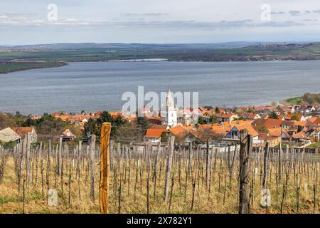 Il villaggio di Pavlov con vigneti sopra il bacino idrico di nove Mlyny in Moravia meridionale, Repubblica Ceca, Europa. Foto Stock