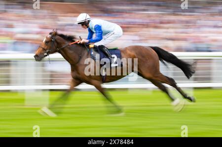 Newbury, Regno Unito, sabato 18 maggio 2024; Sonny Liston e il fantino Rossa Ryan vincono le OCS handicap Stakes per l'allenatore Ralph Beckett e il proprietario Chelsea Thoroughbreds - The Big Bear. Crediti JTW equine Images / Alamy. Foto Stock