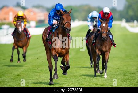 Newbury, Regno Unito, sabato 18 maggio 2024; Diamond Rain e il fantino William Buick vincono l'Haras de Bouquetot Fillies' Trial Stakes (elencato) per l'addestratore Charlie Appleby e il proprietario Godolphin. Crediti JTW equine Images / Alamy. Foto Stock