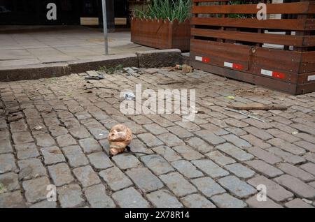 18 maggio 2024, Porto Alegre, Rio grande do sul, Brasile: Porto Alegre (RS), 05/18/2024 Ã¢â‚¬' LOSS/CLIMATE/FLOOD/RS Ã¢â‚¬' record of Damage caused in the Historic Center region, this Saturday (18). La giornata è una giornata di pulizia per i residenti e i commercianti nella regione centrale della capitale, le cui perdite sono ancora contate. (Foto: Marcelo Oliveira/Thenews2/Zumapress) (immagine di credito: © Marcelo Oliveira/TheNEWS2 via ZUMA Press Wire) SOLO PER USO EDITORIALE! Non per USO commerciale! Foto Stock