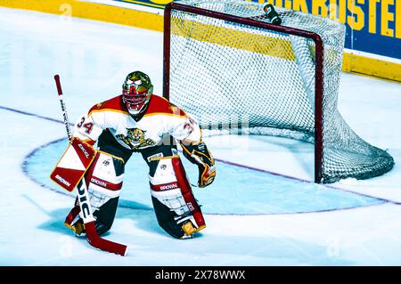 John Vanbiesbrouck, portiere dei Florida Panthers durante una partita del 1995 Foto Stock