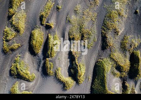 Vista aerea delle dune ricoperte di erba sulla spiaggia di Stokksnes, Islanda sud-orientale. Foto Stock