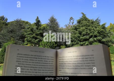 Leggere un libro mentre ci si rilassa nella natura. Foto Stock