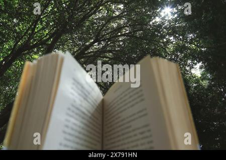 Leggere un libro mentre ci si rilassa nella natura. Foto Stock