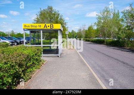 Fermata dell'autobus e cartello in inglese, aeroporto di Stansted, Inghilterra Foto Stock