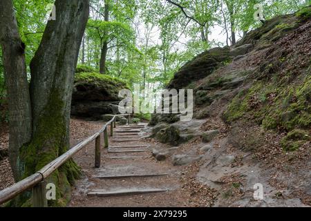 Un sentiero nella foresta con muschio che cresce sugli alberi e una recinzione in legno. Il sentiero è fiancheggiato da rocce e sullo sfondo c'è una piccola collina Foto Stock