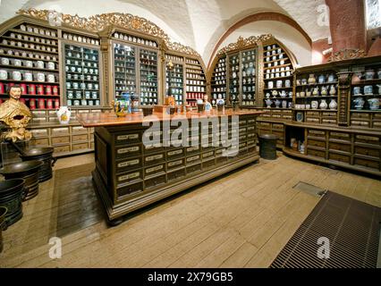 Farmacia del Convento delle Ursuline Klagenfurt, Museo tedesco della Farmacia nel Castello di Heidelberg, Heidelberg, Baden-Wuerttemberg, Germania Foto Stock