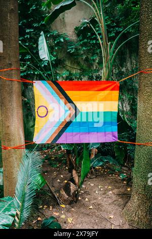 Una bandiera LGBT Pride, che include la variante Progress Pride, è esposta in mezzo a una fitta vegetazione e a palme in un giardino tropicale Foto Stock