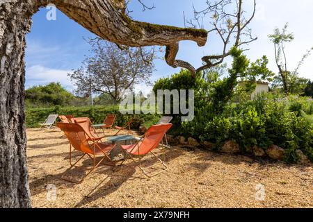 Lettini e sedie colorate nel giardino di un agriturismo nella Toscana rurale in Italia in una giornata di sole con cielo azzurro e splendidi alberi e piante. Foto Stock