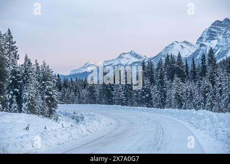 Vista su Jasper Park lungo la Icefields Pkwy in inverno Foto Stock