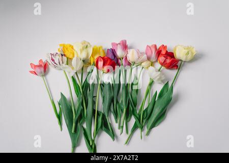 Colorato assortimento di tulipani Foto Stock