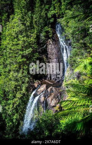 Philosopher Falls, Waratah, Tasmania Foto Stock