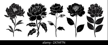 Set di silhouette nere di fiori di peonia Illustrazione Vettoriale