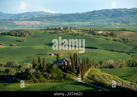 Il bellissimo paesaggio della Val D'Orcia vicino a Pienza, nella Toscana rurale in Italia, in una giornata di sole in primavera vicino al tramonto, con vista sul Podere Belvedere. Foto Stock