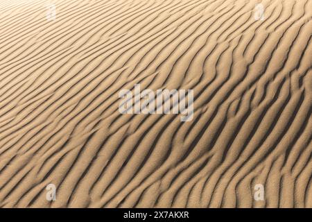 dune di sabbia, messa a fuoco selettiva, sfocatura, sfondo, pace e tranquillità Foto Stock