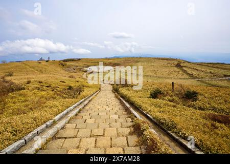 Santuario Mototsumiya sul monte komagatake nella città di Hakone, Kanagawa, Giappone. Foto Stock