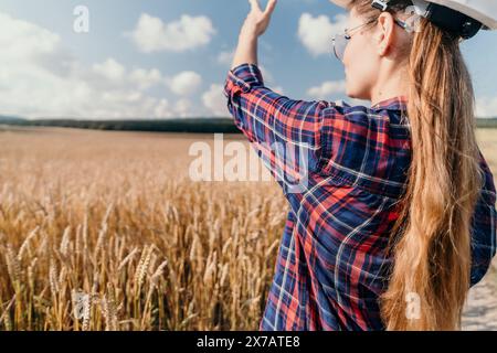 Donna campo di grano. Agronomo, agricoltore donna che controlla i picchi d'orzo maturo dorato nel campo coltivato. Primo piano della mano femminile sulla piantagione in agricoltura Foto Stock