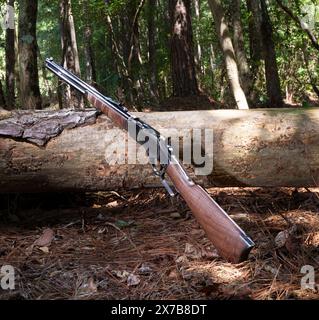 Fucile ad azione a leva Cowboy che è lungo la carabina contro un albero morto nel bosco. Foto Stock