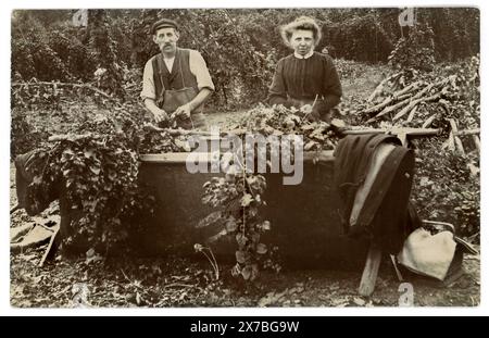 Cartolina originale dell'epoca edoardiana di raccoglitori di luppolo, coppia, che riempie i bidoni - mettendo i "bines" (noti anche come "hop vines" o ghirlande) nei bidoni di luppolo, circa 1908, Inghilterra, Regno Unito Foto Stock