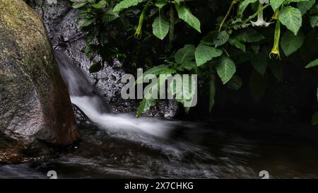 foto a lunga esposizione del flusso d'acqua sulle rocce del fiume Foto Stock