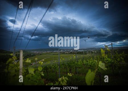 Unwetterzelle über Stuttgart mit Blick vom Kappelberg in Richtung Bad-Cannstatt und der MHP-Arena Fellbach Stuttgart Baden-Württemberg Deutschland *** cella di tempesta su Stoccarda con vista da Kappelberg verso Bad Cannstatt e MHP Arena Fellbach Stuttgart Baden Württemberg Germania Copyright: XSimonxAdomatx Foto Stock