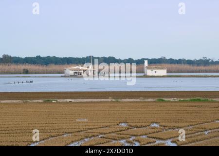 Vista delle risaie di la albufera. Valencia - Spagna Foto Stock