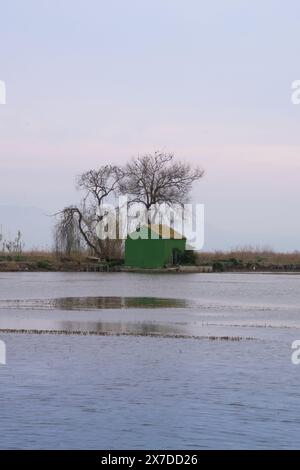 Casa nelle risaie allagate di la albufera, Valencia - Spagna Foto Stock