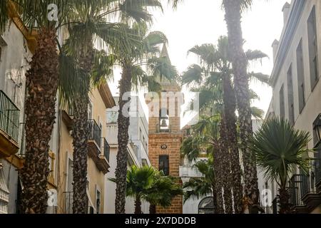 La Iglesia de la Palma in stile barocco del XVIII secolo in Calle Virgen De la Palma, una strada pedonale fiancheggiata da palme conosciuta per i ristoranti e i caffè a Cadice, in Spagna. Cádiz è uno dei più antichi insediamenti abitati in Europa, fondato dai Fenici intorno al 1100 a.C.. Foto Stock