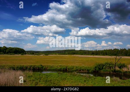 Il paesaggio rurale nella valle del fiume Suprasl, percorso didattico, giornata di sole sulle rive del fiume. Polonia, Podlasie, Suprasl Foto Stock