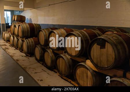 Ampia scelta di botti di vino in una cantina buia, affollata di affinamento del contenuto all'interno delle botti. Foto Stock