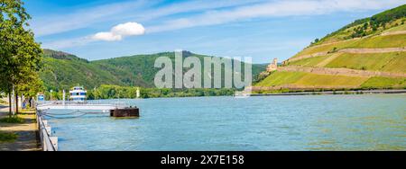 Panorama del fiume Reno tra Bingen e Niederwald a Rudesheim con pittoresche colline, Germania Foto Stock