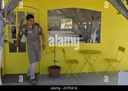 Tijuana, bassa California, Messico. 18 maggio 2024. Leonardo Rosas, un ospite del servizio di apicoltura di Dear Honey, un'azienda agricola, soddisfa le esigenze dei clienti con un caffè e frutta e formaggio, spuntini platte inclusi dopo una corsa educativa tour con tuta protettiva per l'apicoltura, fornisce al pubblico generale di Tijuana, Messico. (Credit Image: © Carlos A. Moreno/ZUMA Press Wire) SOLO PER USO EDITORIALE! Non per USO commerciale! Foto Stock