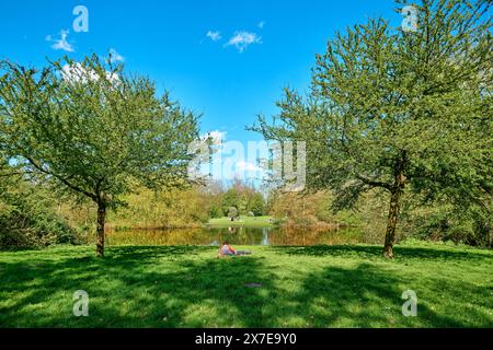 Olanda, Amsterdam - 7 aprile 2024: Un giovane relax sull'erba vicino al lago a Flevopark Foto Stock