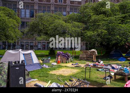 Seattle, Stati Uniti. 19 maggio 2024, Seattle, Washington, Stati Uniti d'America: Macchie di erba morta sono lasciate dove le tende sono state abbattute nella cosiddetta "Popular University for Gaza Liberated zone" accampamento di protesta pro-Palestina nel Quad del campus dell'Università di Washington a Seattle, Washington, USA, domenica 19 maggio, 2024. venerdì è stato annunciato che i manifestanti avevano raggiunto un accordo con l'università per porre fine all'accampamento dopo quasi un mese di protesta. Al suo apice, l'accampamento aveva più di 130 tende. Crediti: ZUMA Press, Inc./Alamy Live News Foto Stock