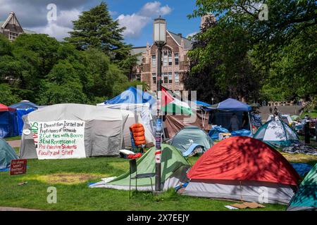 Seattle, Stati Uniti. 19 maggio 2024, Seattle, Washington, Stati Uniti: Circa il 60% degli accampamenti di protesta studentesca rimane nella cosiddetta ''Università popolare per la zona liberata di Gaza'' dopo che i manifestanti hanno raggiunto un accordo con l'amministrazione nel Quad del campus dell'Università di Washington a Seattle, Washington, USA, domenica 19 maggio, 2024. venerdì è stato annunciato che i manifestanti avevano raggiunto un accordo con l'università per porre fine all'accampamento dopo quasi un mese di protesta. Al suo apice, l'accampamento aveva più di 130 tende. Crediti: ZUMA Press, Inc./Alamy Live News Foto Stock