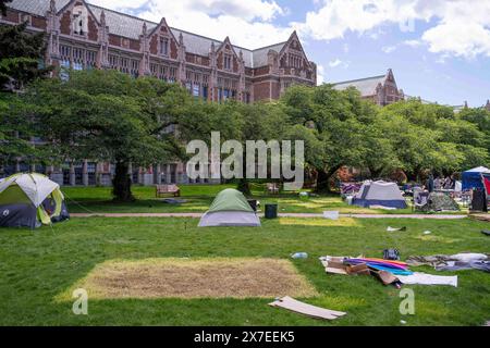 Seattle, Stati Uniti. 19 maggio 2024, Seattle, Washington, Stati Uniti d'America: Macchie di erba morta sono lasciate dove le tende sono state abbattute nella cosiddetta "Popular University for Gaza Liberated zone" accampamento di protesta pro-Palestina nel Quad del campus dell'Università di Washington a Seattle, Washington, USA, domenica 19 maggio, 2024. venerdì è stato annunciato che i manifestanti avevano raggiunto un accordo con l'università per porre fine all'accampamento dopo quasi un mese di protesta. Al suo apice, l'accampamento aveva più di 130 tende. Crediti: ZUMA Press, Inc./Alamy Live News Foto Stock